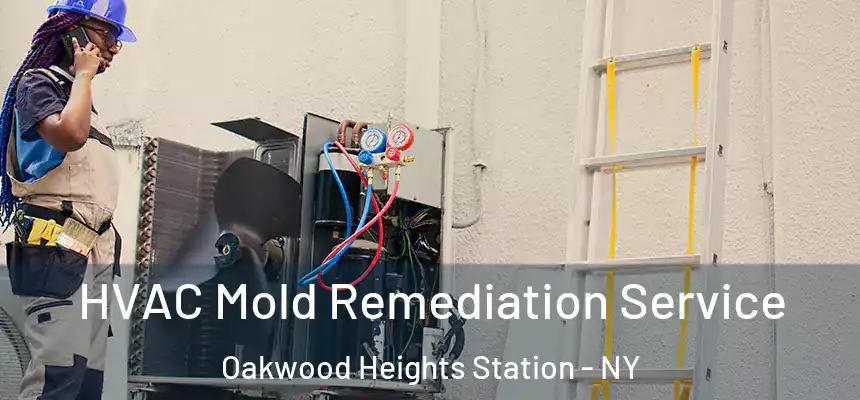 HVAC Mold Remediation Service Oakwood Heights Station - NY