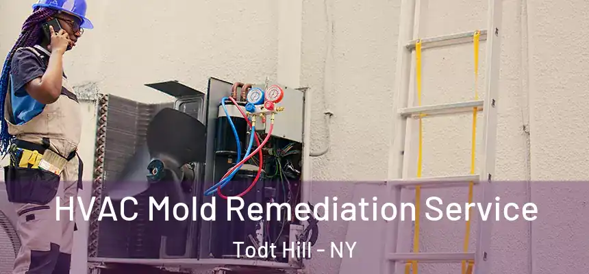 HVAC Mold Remediation Service Todt Hill - NY