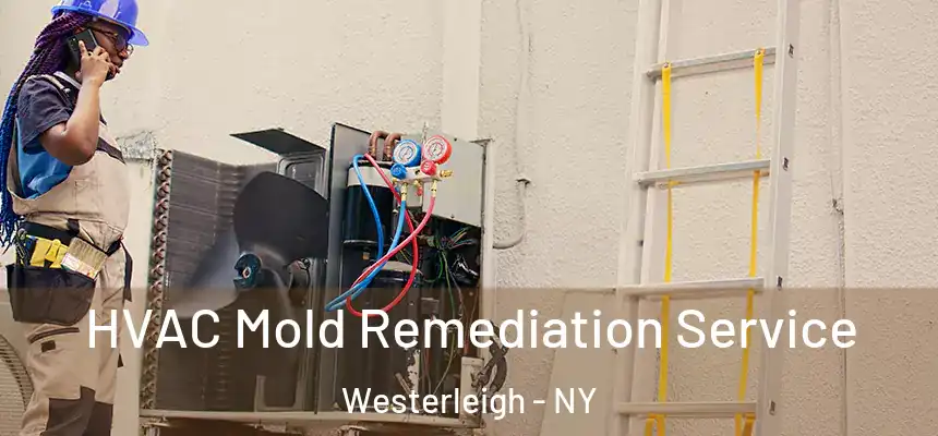  HVAC Mold Remediation Service Westerleigh - NY
