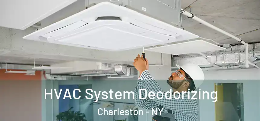 HVAC System Deodorizing Charleston - NY