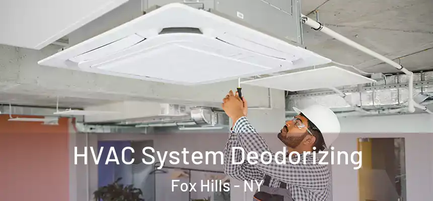  HVAC System Deodorizing Fox Hills - NY