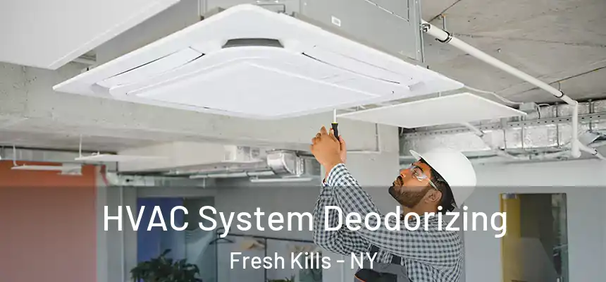 HVAC System Deodorizing Fresh Kills - NY
