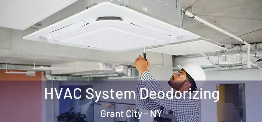  HVAC System Deodorizing Grant City - NY