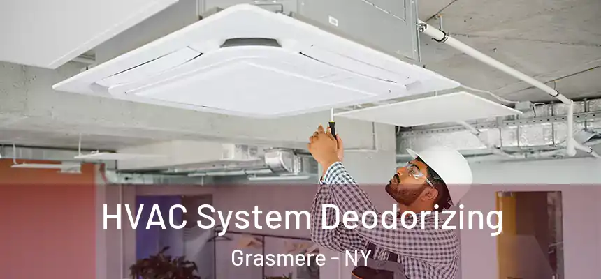 HVAC System Deodorizing Grasmere - NY