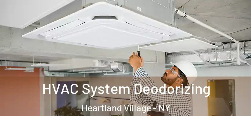 HVAC System Deodorizing Heartland Village - NY