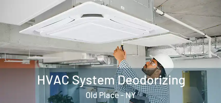 HVAC System Deodorizing Old Place - NY