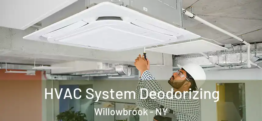 HVAC System Deodorizing Willowbrook - NY