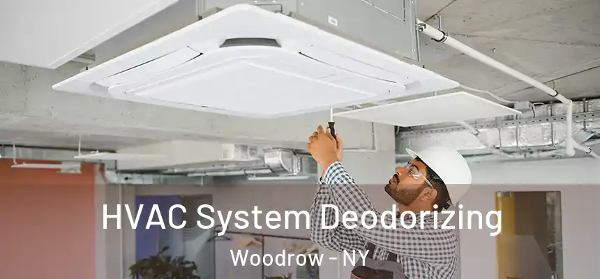 HVAC System Deodorizing Woodrow - NY