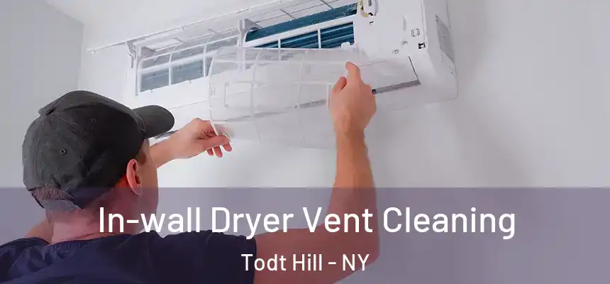  In-wall Dryer Vent Cleaning Todt Hill - NY