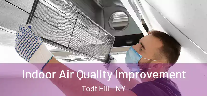  Indoor Air Quality Improvement Todt Hill - NY