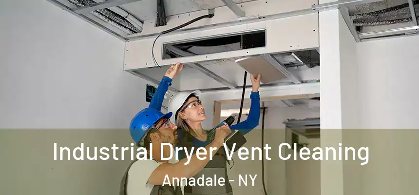 Industrial Dryer Vent Cleaning Annadale - NY
