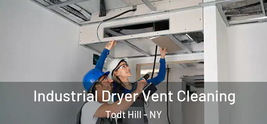  Industrial Dryer Vent Cleaning Todt Hill - NY