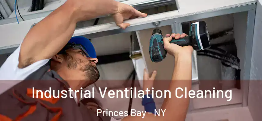 Industrial Ventilation Cleaning Princes Bay - NY