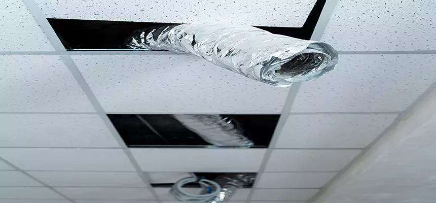 Our Air Duct Pet Hair Removal Services in Staten Island, NY