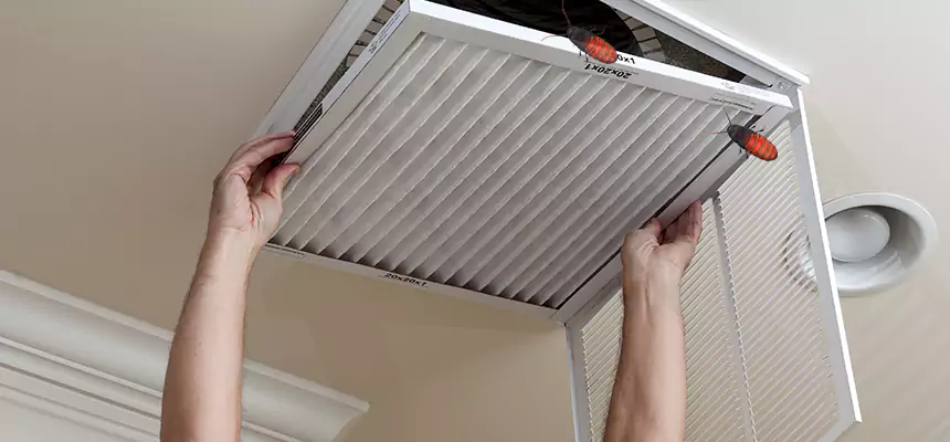 Our Insect Removal from Air Ducts Services in Staten Island, NY