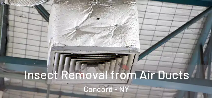 Insect Removal from Air Ducts Concord - NY