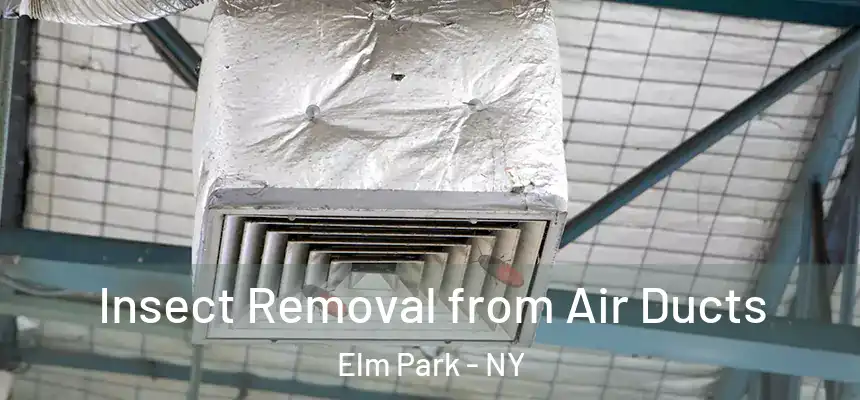 Insect Removal from Air Ducts Elm Park - NY