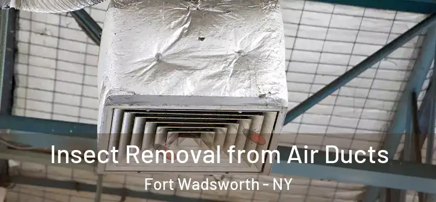 Insect Removal from Air Ducts Fort Wadsworth - NY