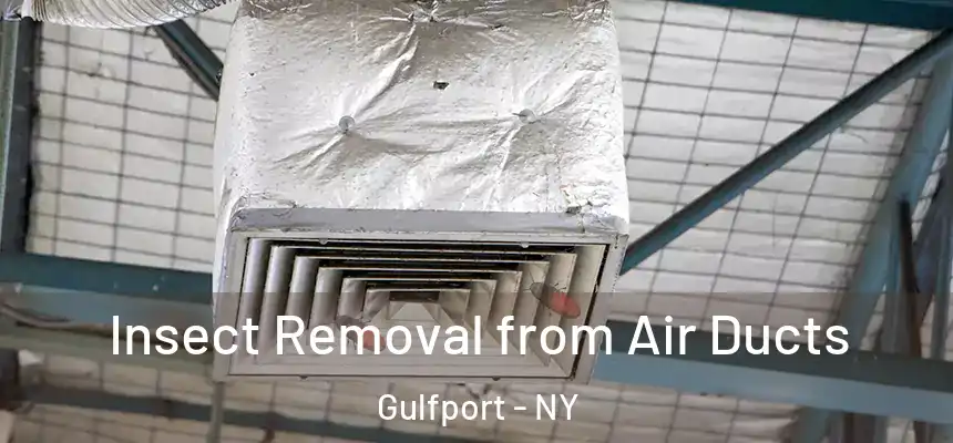  Insect Removal from Air Ducts Gulfport - NY