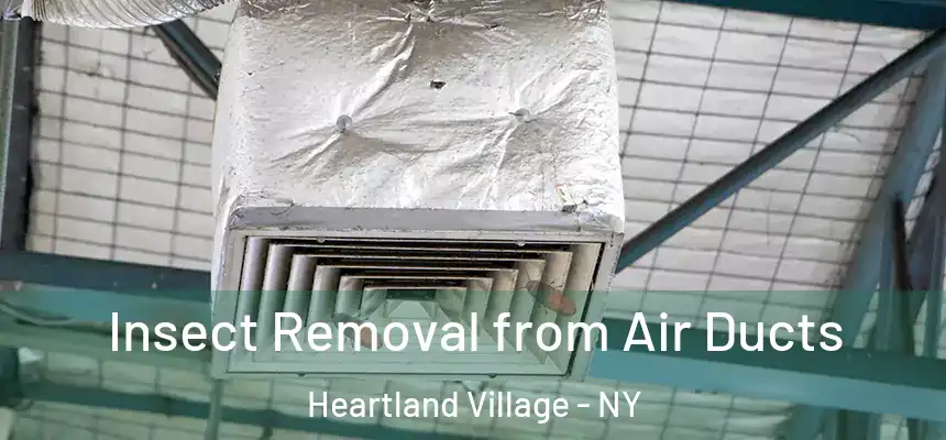 Insect Removal from Air Ducts Heartland Village - NY