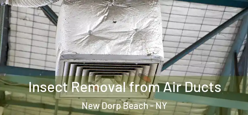 Insect Removal from Air Ducts New Dorp Beach - NY