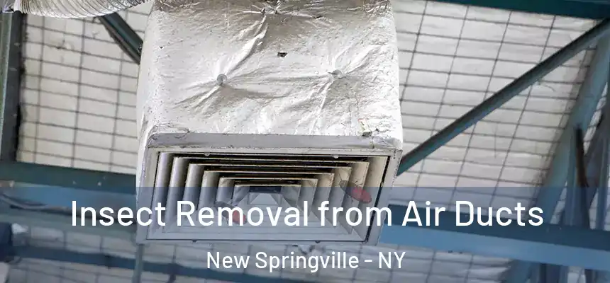 Insect Removal from Air Ducts New Springville - NY