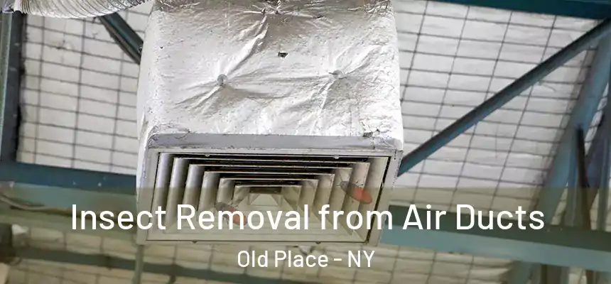 Insect Removal from Air Ducts Old Place - NY