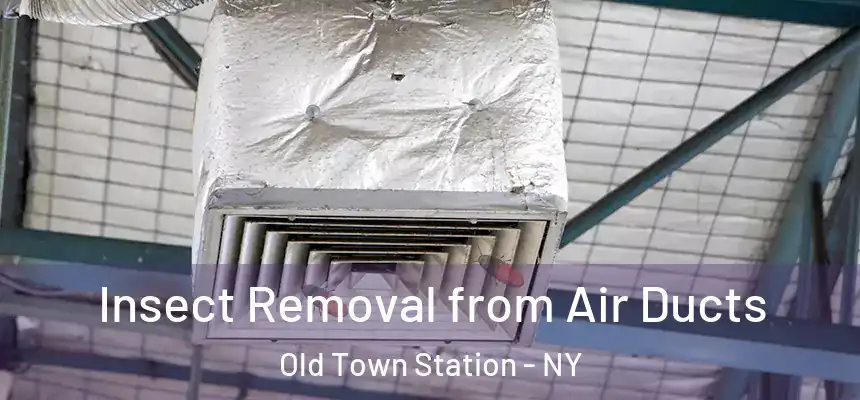 Insect Removal from Air Ducts Old Town Station - NY
