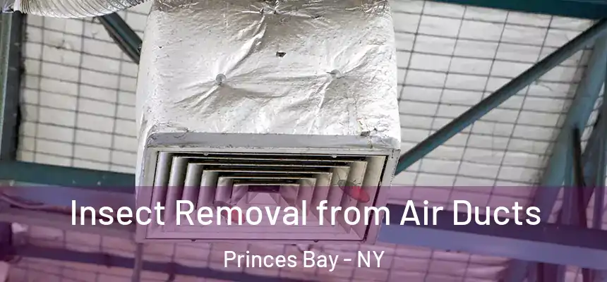  Insect Removal from Air Ducts Princes Bay - NY