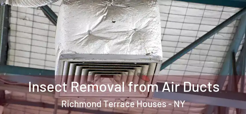  Insect Removal from Air Ducts Richmond Terrace Houses - NY