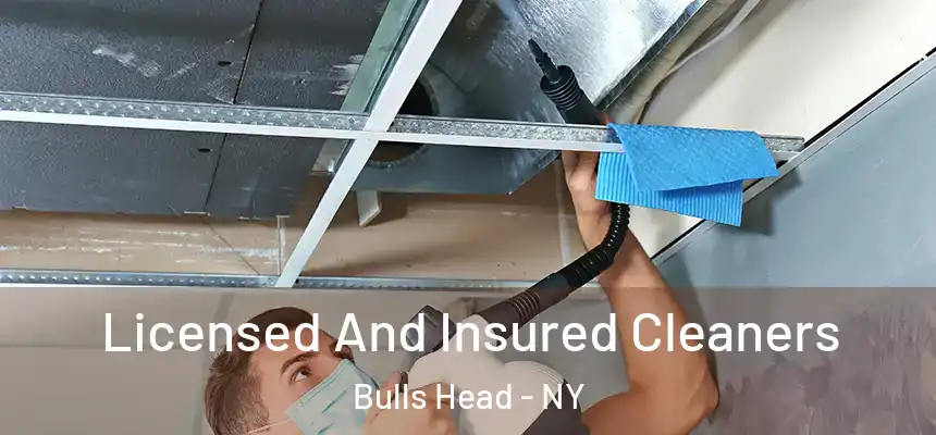 Licensed And Insured Cleaners Bulls Head - NY