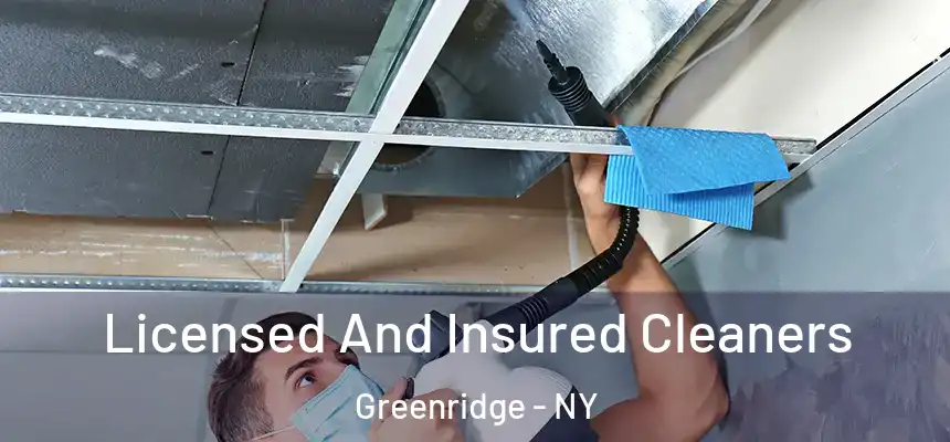  Licensed And Insured Cleaners Greenridge - NY