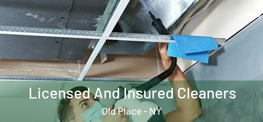 Licensed And Insured Cleaners Old Place - NY