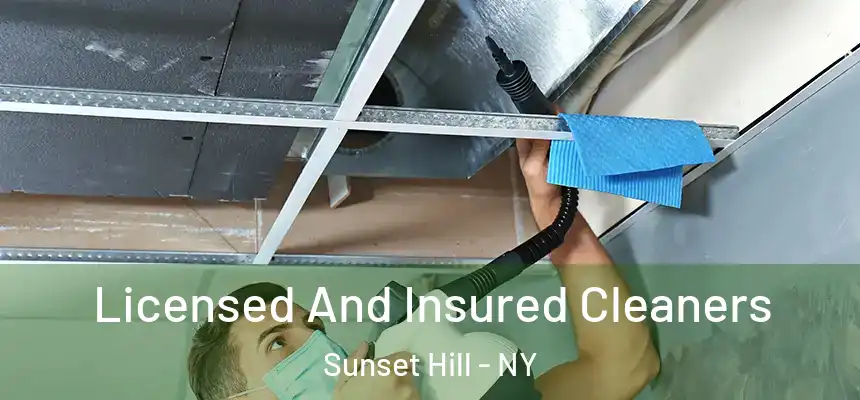 Licensed And Insured Cleaners Sunset Hill - NY