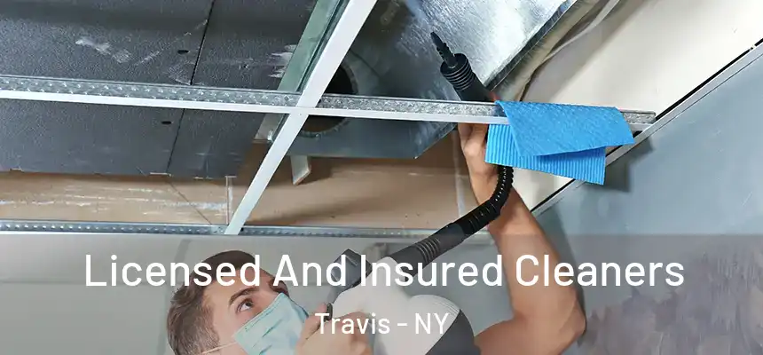 Licensed And Insured Cleaners Travis - NY