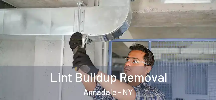 Lint Buildup Removal Annadale - NY