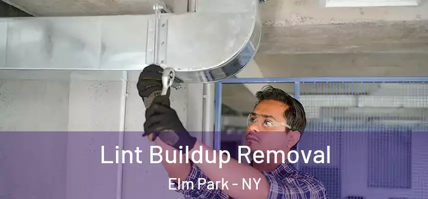 Lint Buildup Removal Elm Park - NY