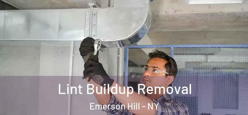 Lint Buildup Removal Emerson Hill - NY