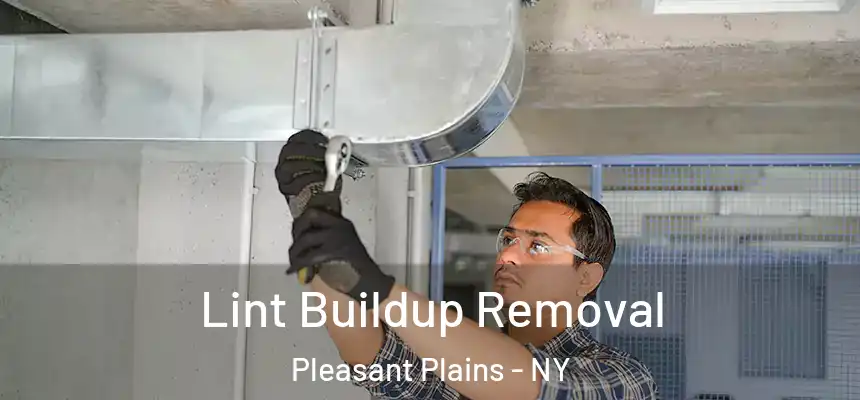 Lint Buildup Removal Pleasant Plains - NY