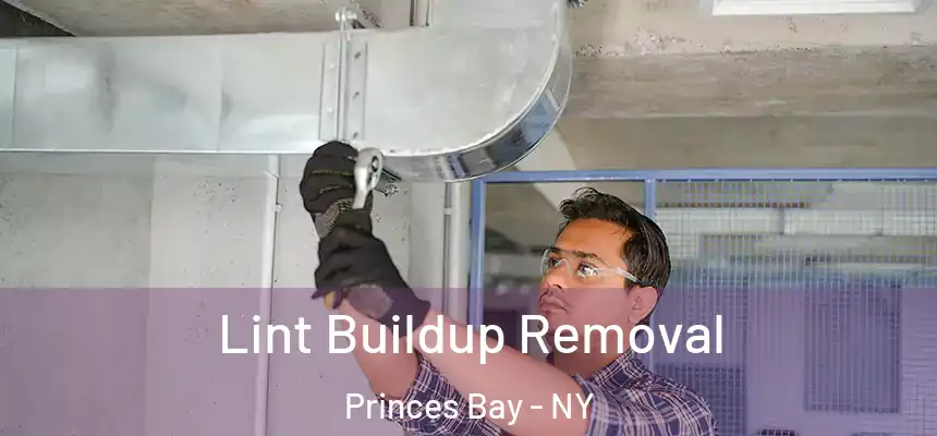 Lint Buildup Removal Princes Bay - NY