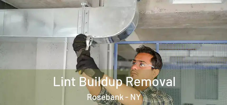 Lint Buildup Removal Rosebank - NY