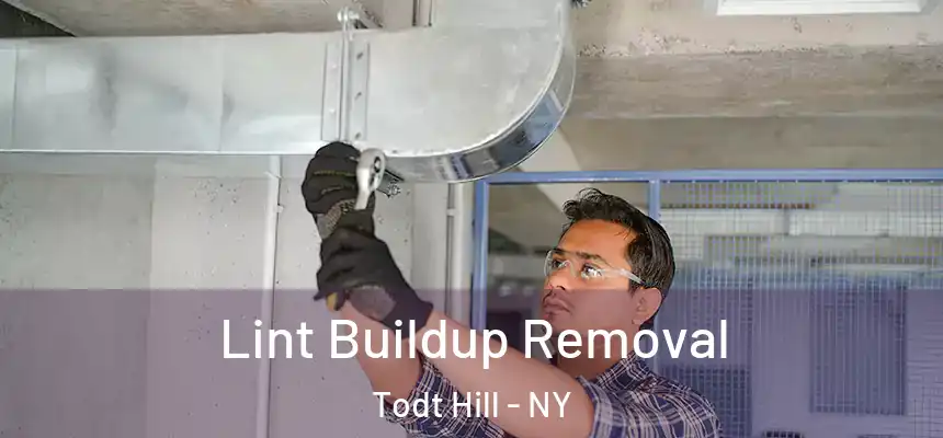 Lint Buildup Removal Todt Hill - NY