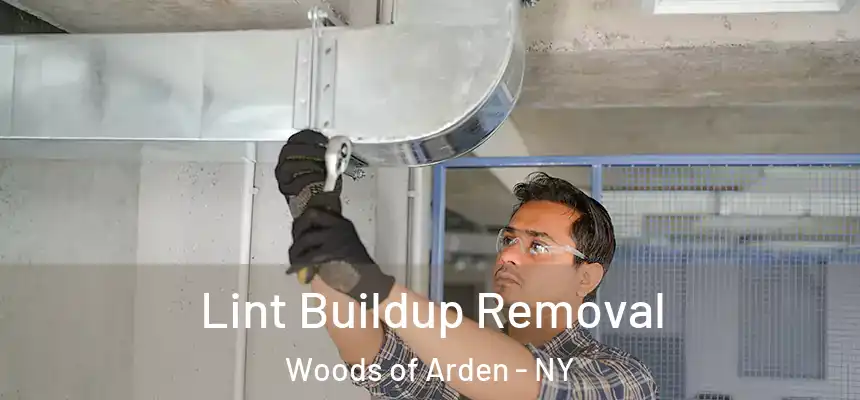 Lint Buildup Removal Woods of Arden - NY