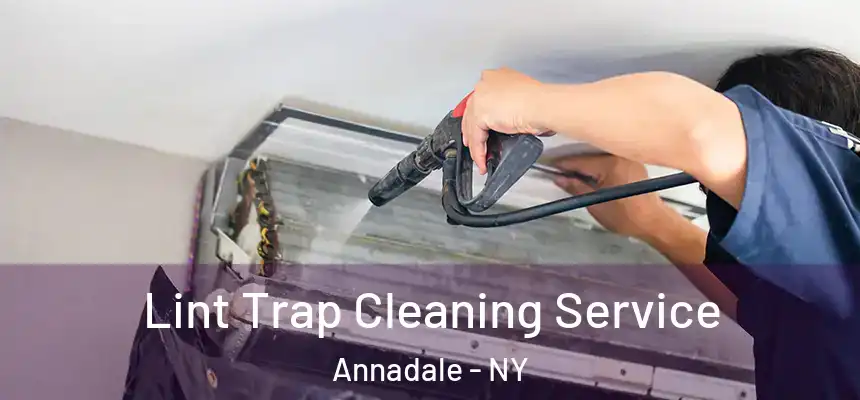 Lint Trap Cleaning Service Annadale - NY