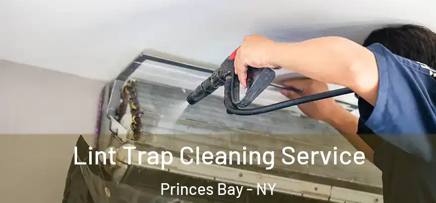 Lint Trap Cleaning Service Princes Bay - NY