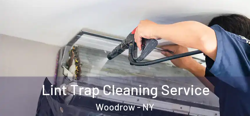 Lint Trap Cleaning Service Woodrow - NY