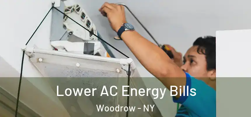  Lower AC Energy Bills Woodrow - NY