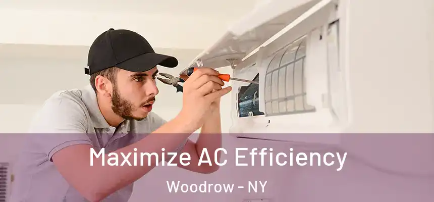 Maximize AC Efficiency Woodrow - NY