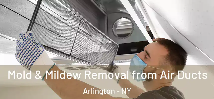  Mold & Mildew Removal from Air Ducts Arlington - NY