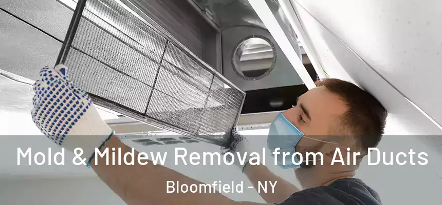 Mold & Mildew Removal from Air Ducts Bloomfield - NY